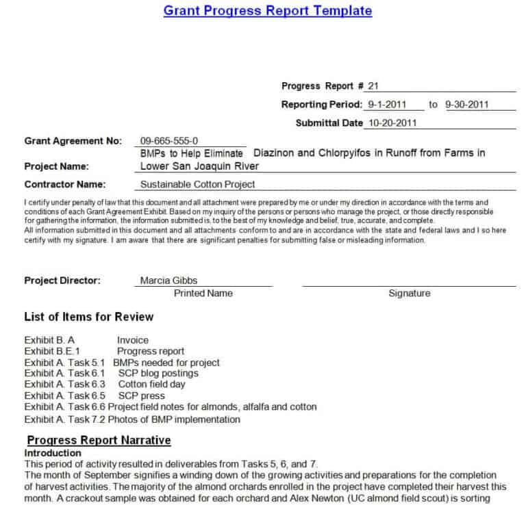 Official Progress Report Templates In Ms Word Writing Word Excel