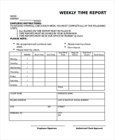 12+ Free Weekly Report Templates - Writing Word Excel Format