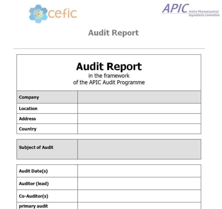 17+ Best Quality Audit Report Templates & Samples - Writing Word Excel ...