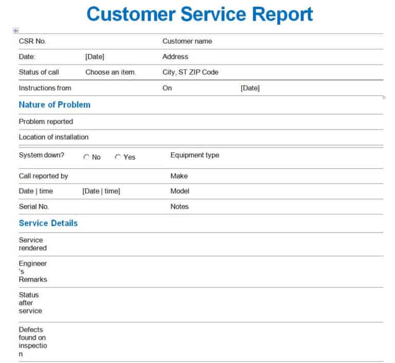 14+ Useful Customer Service Report Templates [WORD, EXCEL, PDF ...