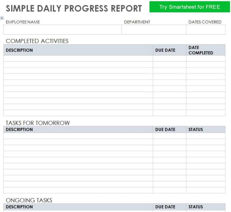 14+ Customizable Daily Progress Report Templates [WORD & EXCEL ...