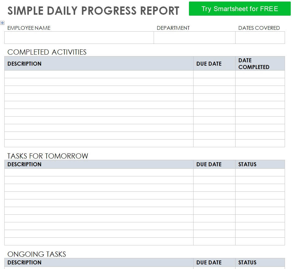 14 Customizable Daily Progress Report Templates WORD EXCEL 