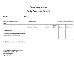 14+ Customizable Daily Progress Report Templates [WORD & EXCEL ...