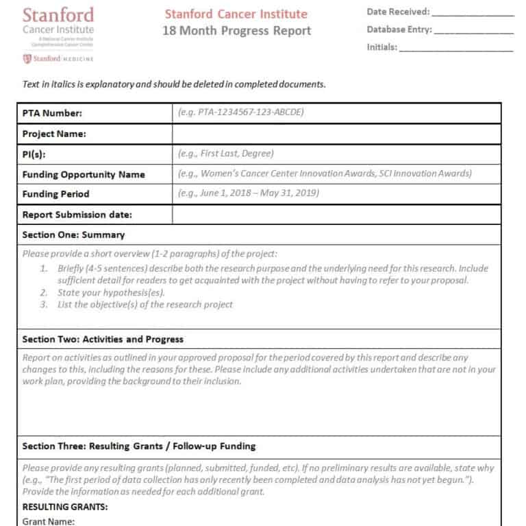 how to write a research project progress report