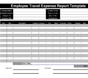 18+ Useful Travel Expense Report Templates [in WORD & EXCEL] - Writing ...